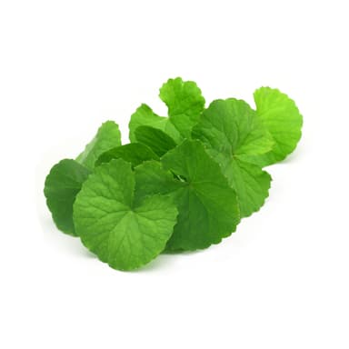 Ingredient brahmi